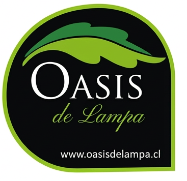 Oasis de Lampa