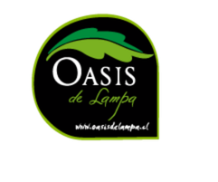 Oasis de Lampa